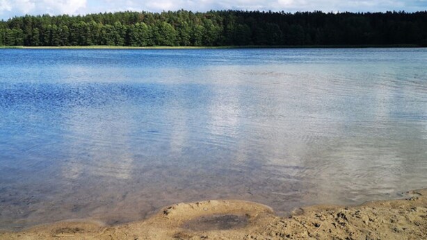 A calm lake with clear water, surrounded by a forested shoreline. - Spacious Cottage, Idyllic Right on the Lake, Spore (Szczecinek)