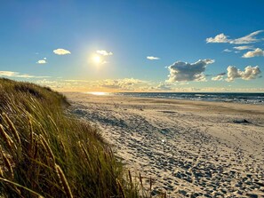 En strand med sand og græs, en klar himmel og solen står op eller går ned.