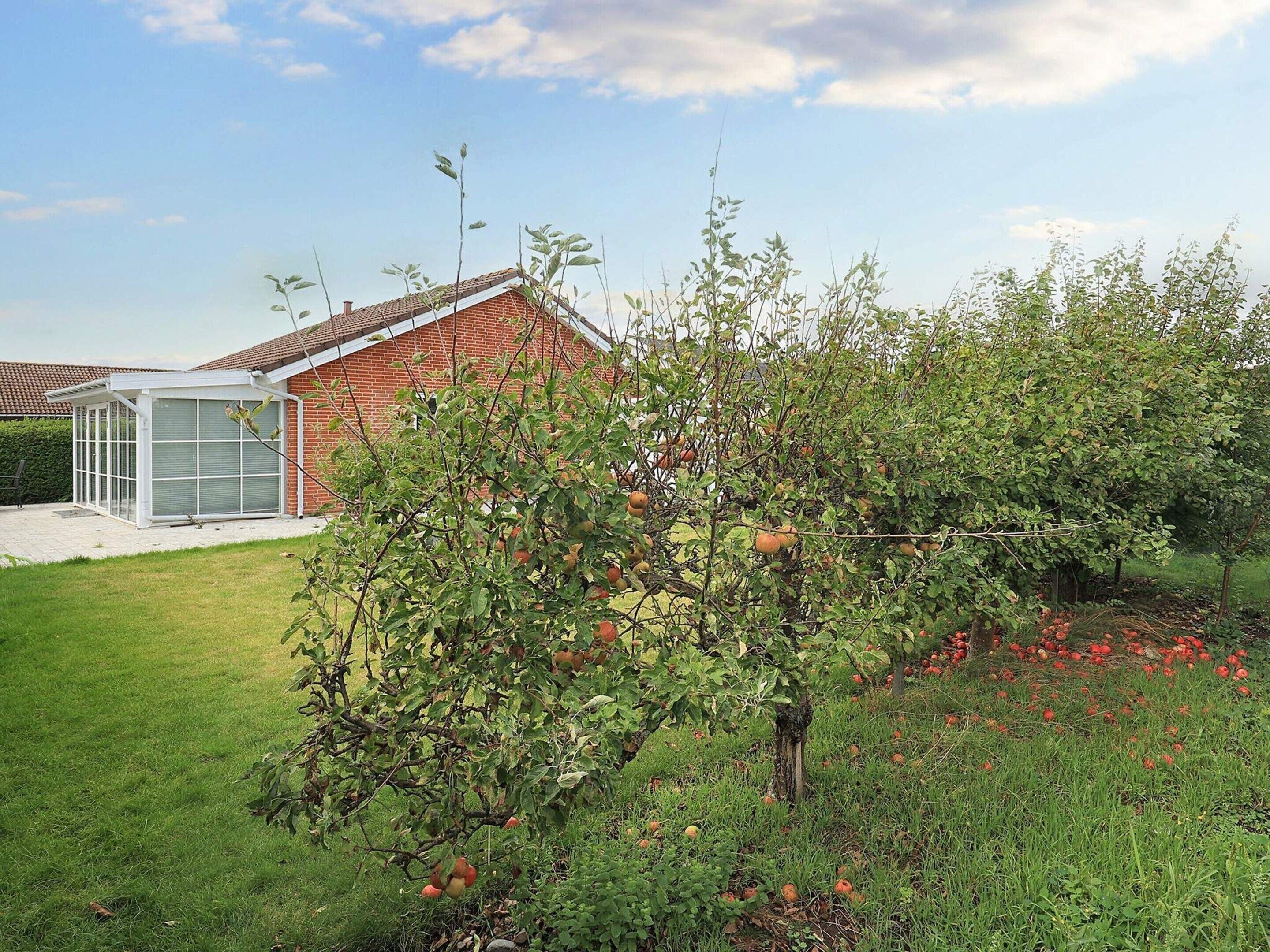 A house with a glass conservatory, a brick roof, and an apple tree in the yard.