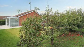 A house with a glass conservatory, a brick roof, and an apple tree in the yard.