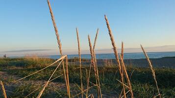 A beach with tall grasses and a clear sky.