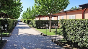 A paved pathway lined with neatly trimmed hedges and trees, leading to a row of buildings with a consistent architectural style. - Apartment in Vada With Garden Furniture (Rosignano Marittimo)