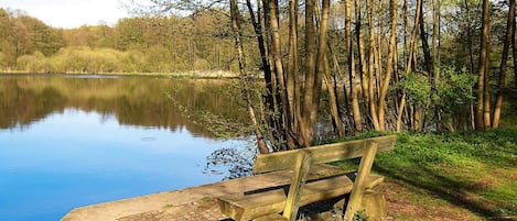 Un banco de madera junto a un lago tranquilo con árboles al fondo.