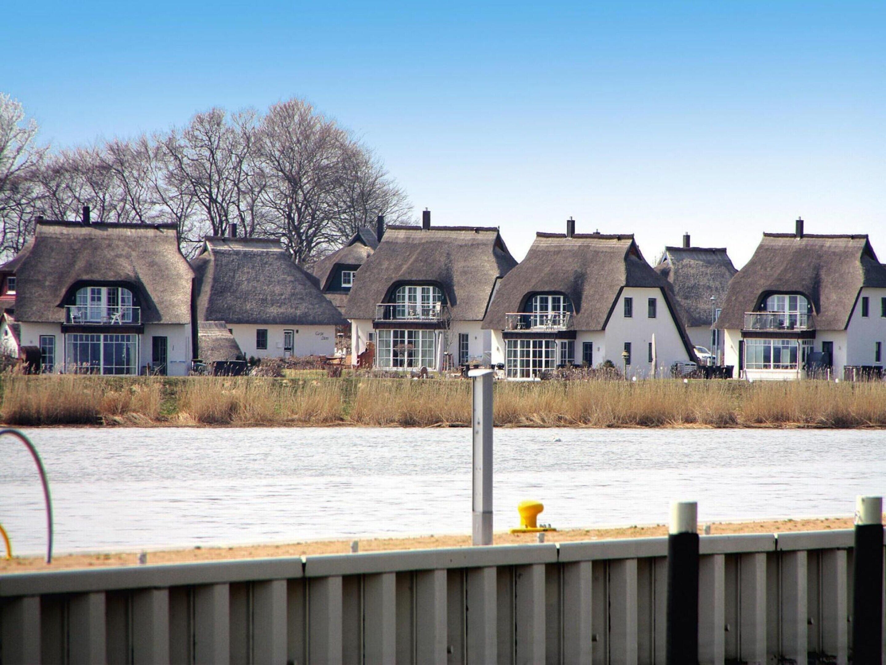 A row of thatched-roof cottages by a body of water.