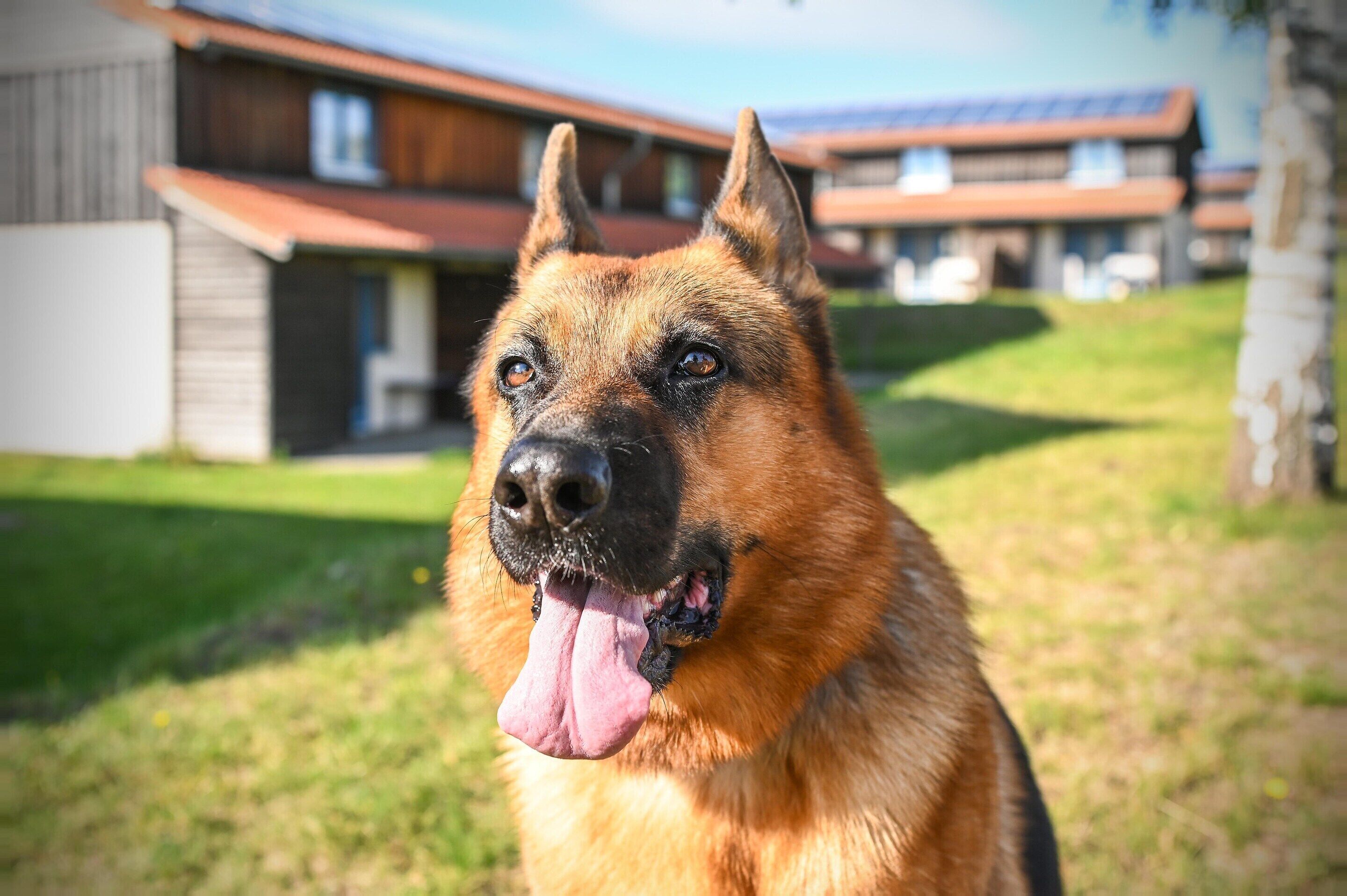 Nhà | Chi tiết nội thất