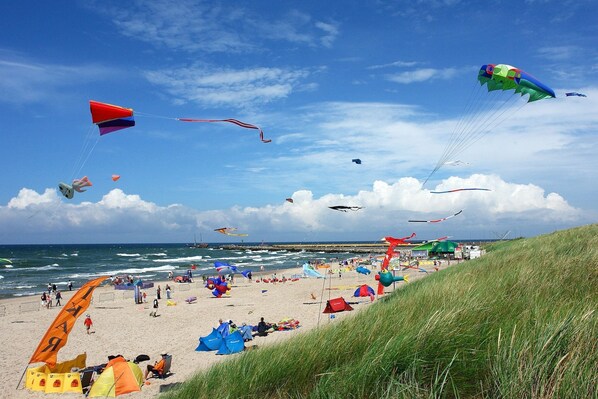 House | View from property - Cottage in Sarbinowo Near Baltic Sea (Mielno)