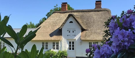 House | Exterior