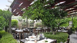 Ein Restaurant im Freien mit Holztischen und -stühlen, umgeben von viel Grün und unter einer Holzpergola.