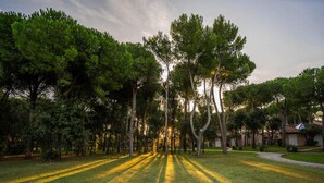A park with a row of trees casting shadows on the grass. - Bungalow Riva Degli Etruschi in San Vincenzo-formerly TUI Ferienhaus (San Vincenzo)
