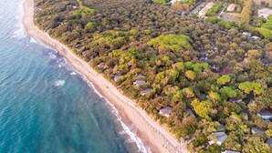 An aerial view of a coastal residential area with houses surrounded by dense greenery and a beach. - Bungalow Riva Degli Etruschi in San Vincenzo-formerly TUI Ferienhaus (San Vincenzo)