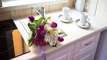 Apartment | Private kitchen