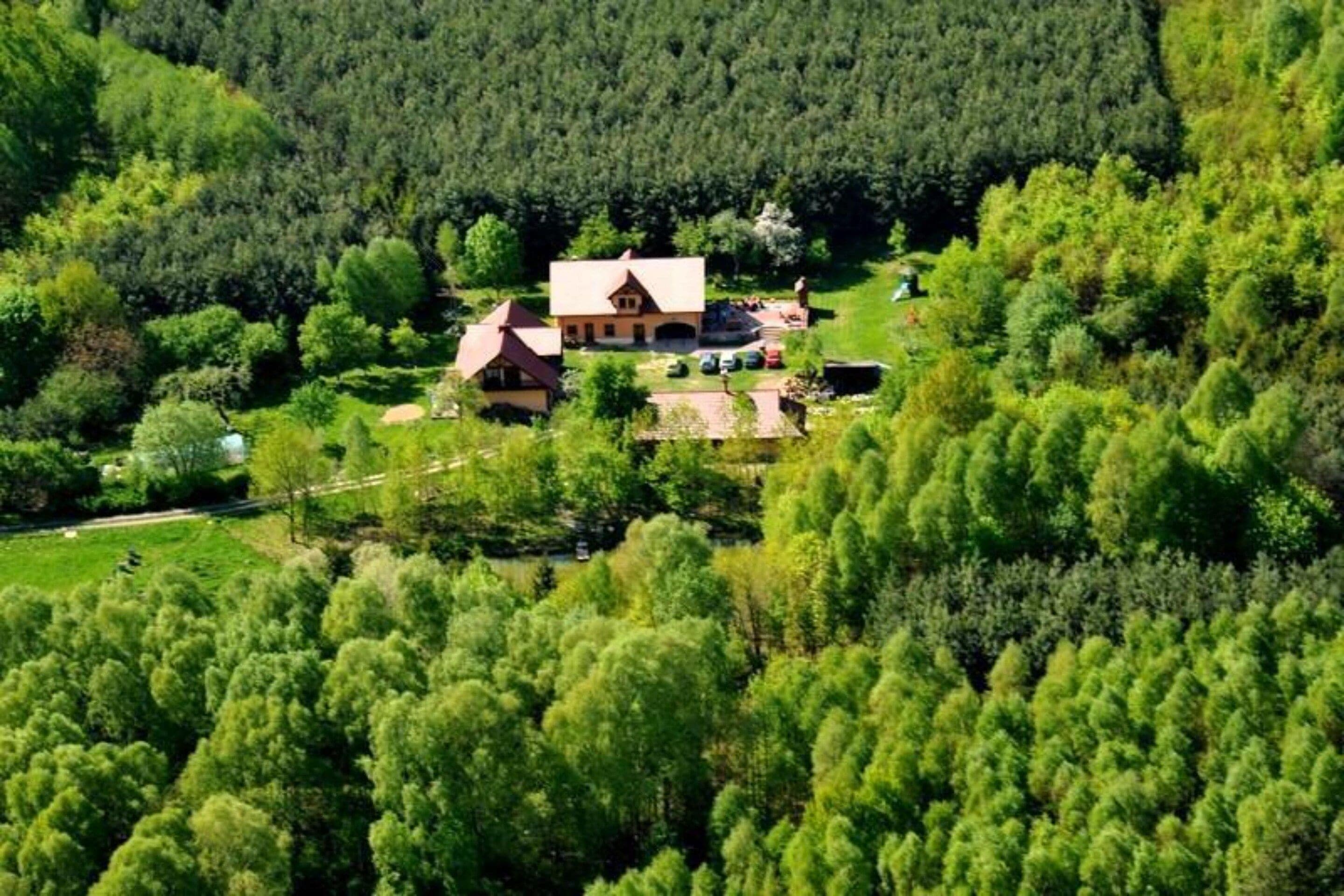 Una casa rodeada de un bosque frondoso, con un camino de entrada y un pequeño jardín.