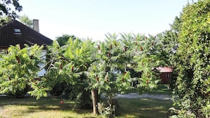 A garden with a variety of trees, including one with red fruits, a lawn, and a building with a red roof in the background.