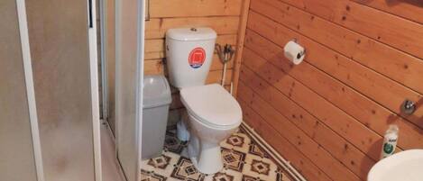 A small bathroom with a toilet, a sink, and patterned floor tiles.