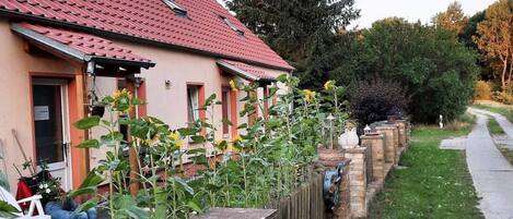 Apartment | Property grounds
