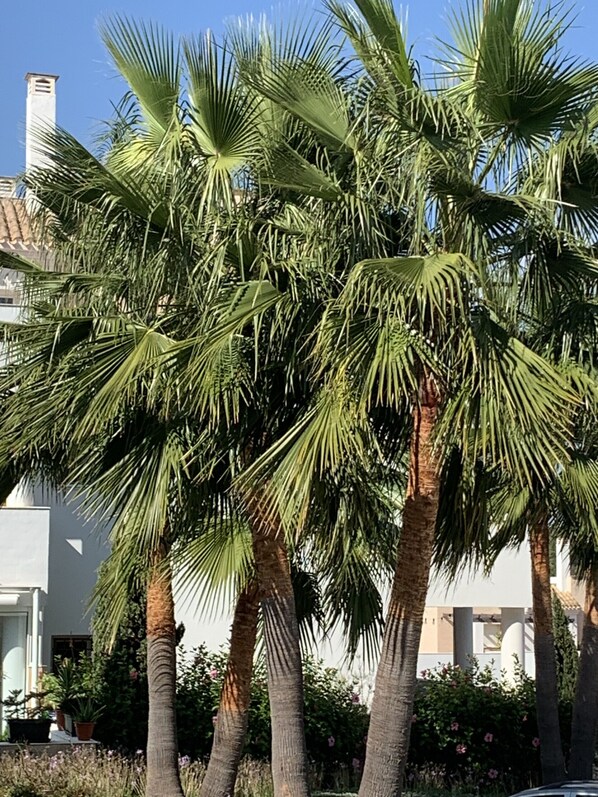 المنطقة المحيطة بالمنشأة