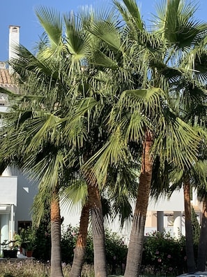 Overnatningsstedets område