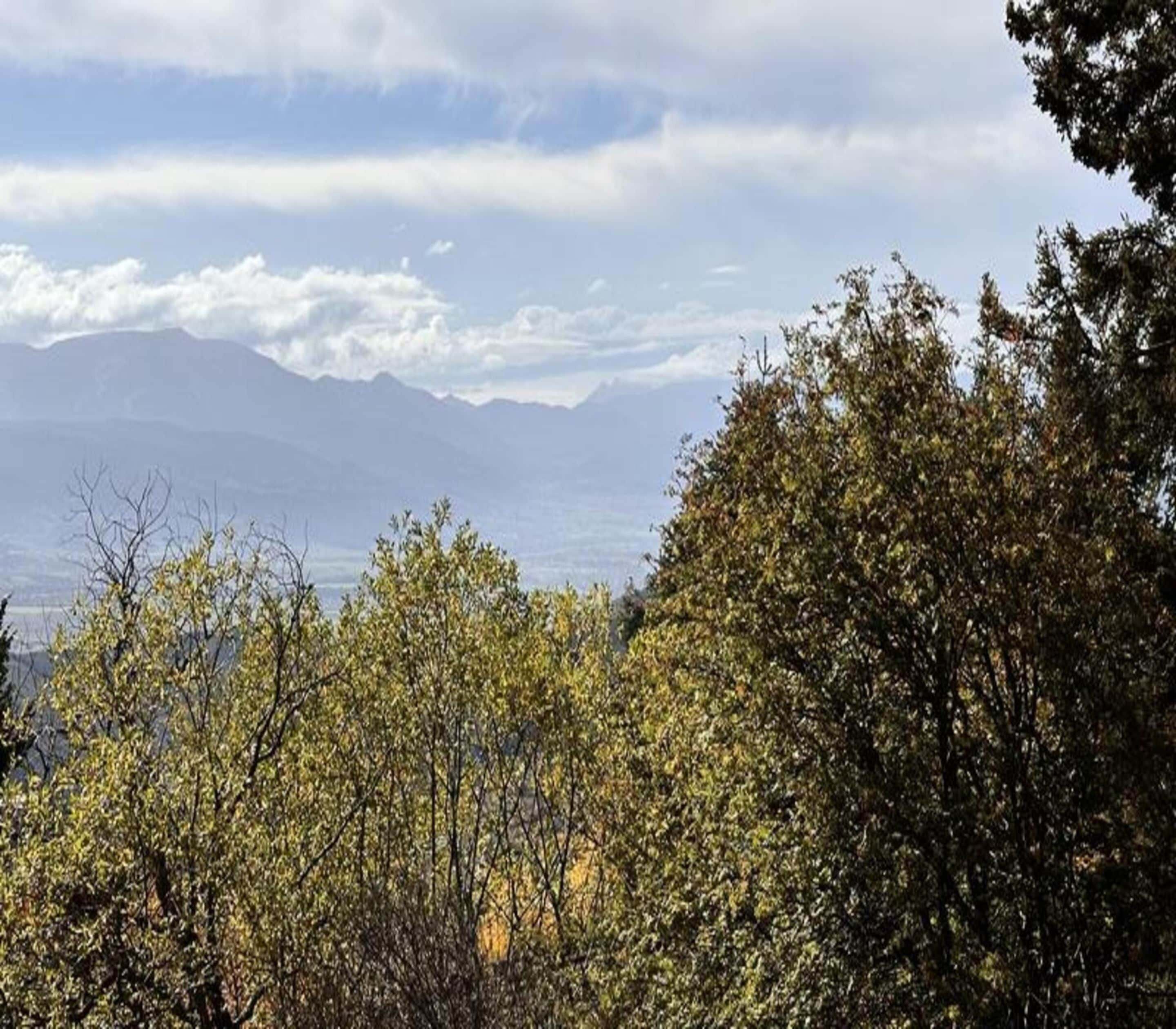 Un paisaje montañoso con vegetación densa en primer plano.