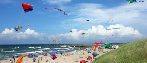 House | View from property