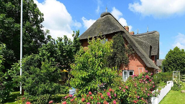 A traditional thatched-roof house surrounded by a stone wall and blooming pink roses. - Ferienwohnung in Oevenum auf Foehr (Oevenum)