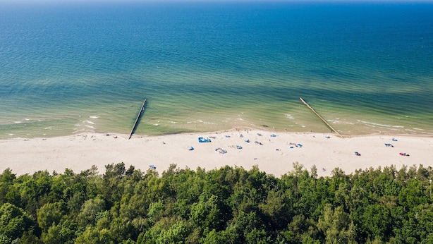 Eine Vogelperspektive zeigt einen Strand mit sandigem Ufer, klarem blauen Wasser und einer bewaldeten Fläche im Vordergrund.
