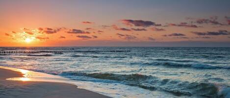 ハウス | ウォーター ビュー