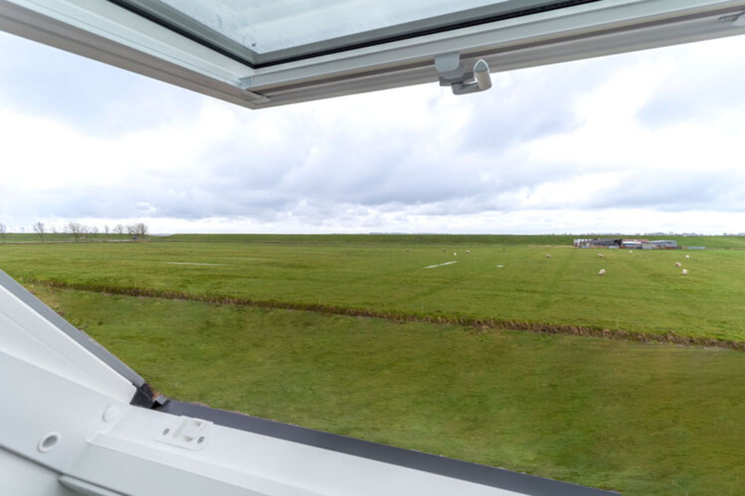 A view from inside a vehicle looking out at a grassy field with a cloudy sky.