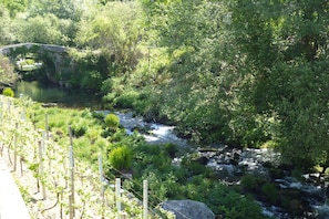 Exterior - Stone House by Caima River With Pool (Vale de Cambra)