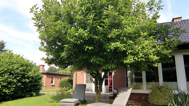 Une maison avec une façade en briques, un arbre dans le jardin et deux fauteuils de jardin.