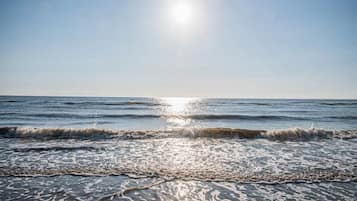 Apartment | View from property