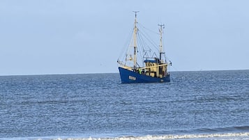 Vista desde la propiedad