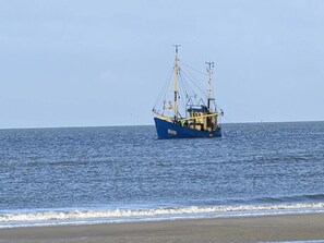 Apartment | View from property - Ferienwohnung in St.peter Ording (St. Peter-Ording)