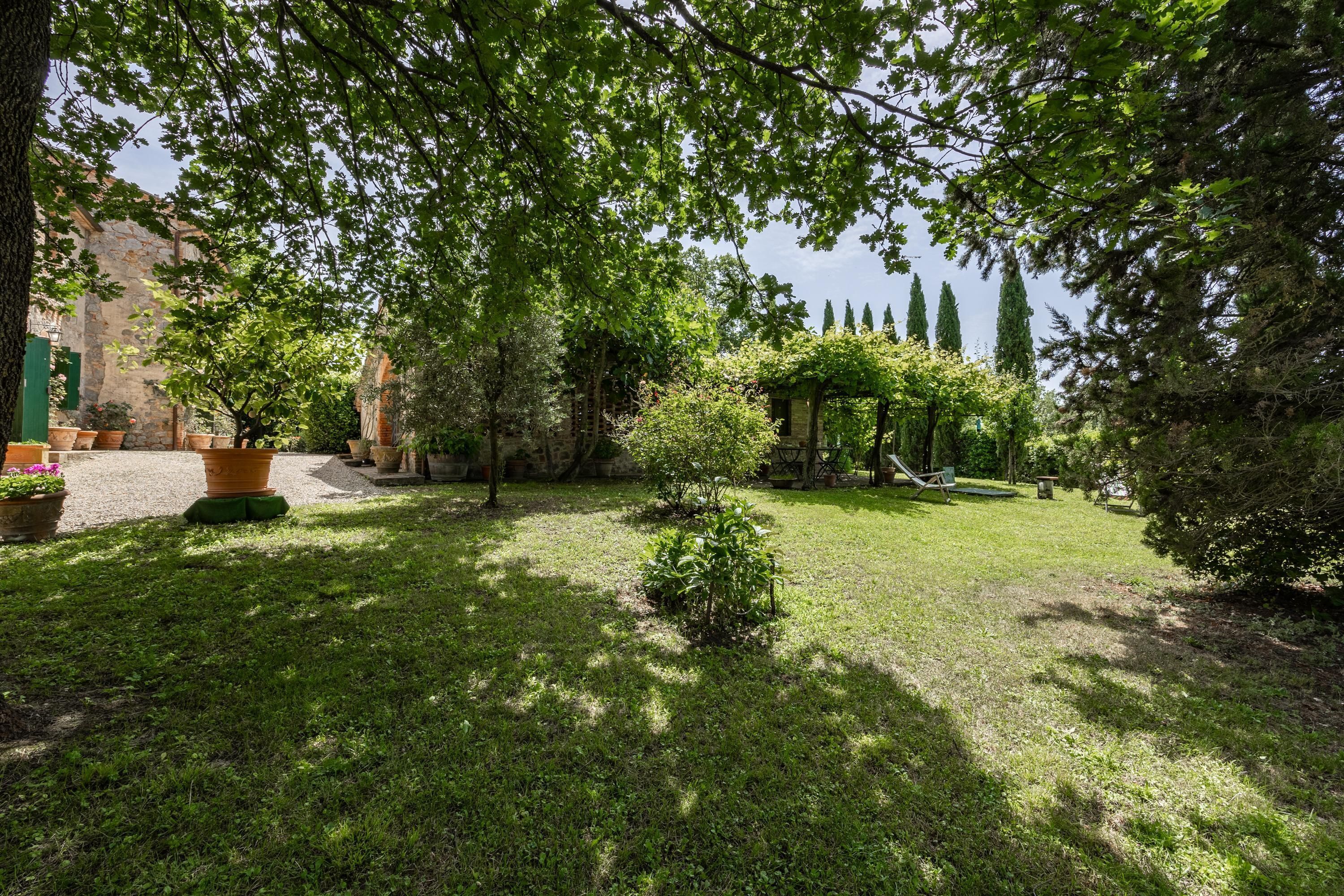 A garden with a pergola, potted plants, and a stone wall.
