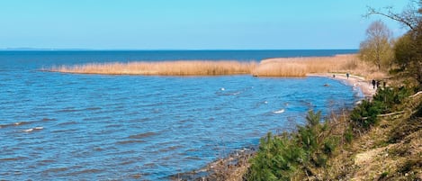 House | View from property