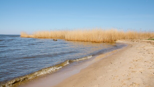 A beach with clear blue water, sandy shore, and tall grasses. - Holiday Home in Nowe Warpno Near Harbor (Nowe Warpno)