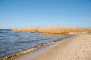A beach with clear blue water, sandy shore, and tall grasses. - Holiday Home in Nowe Warpno Near Harbor (Nowe Warpno)