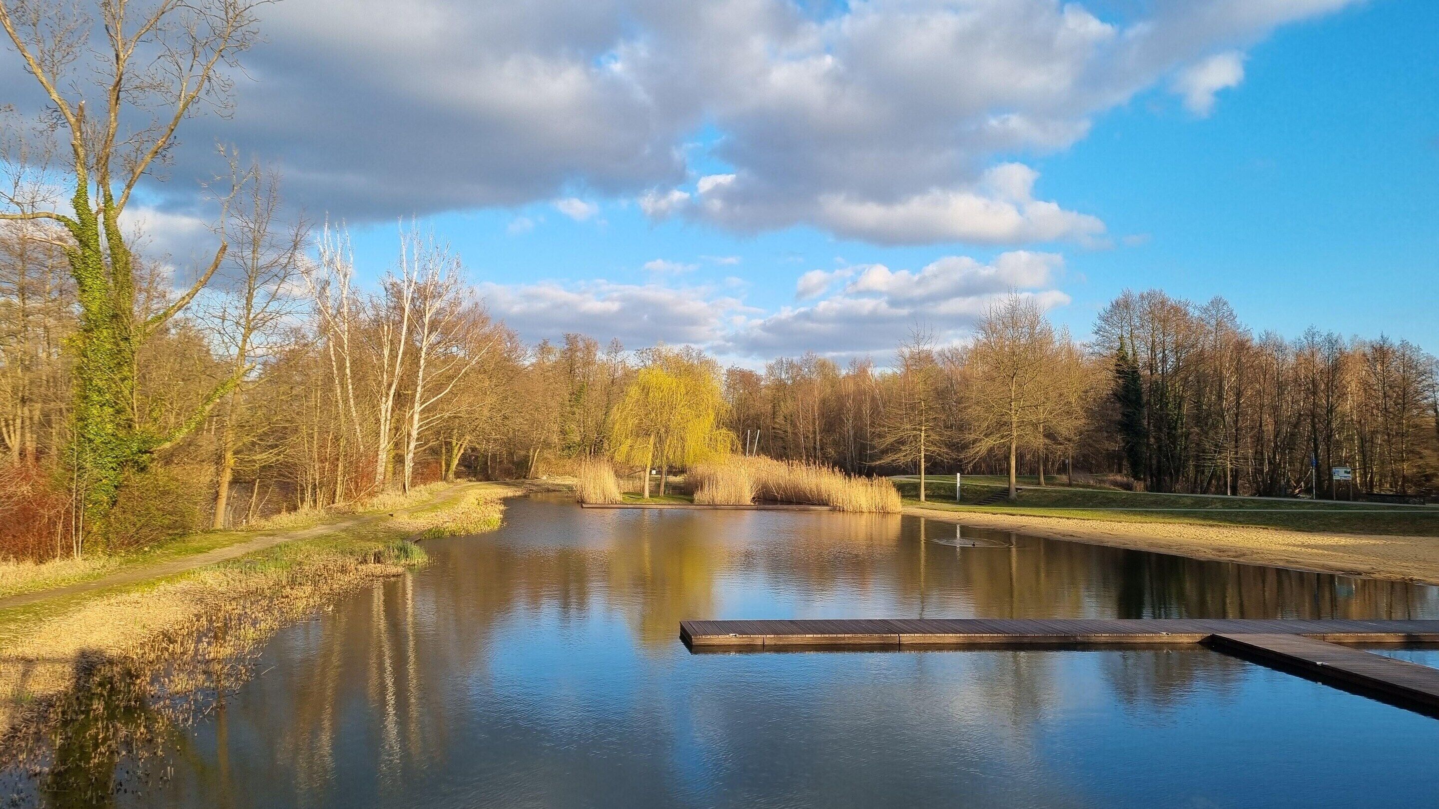 A calm river with a wooden dock, surrounded by trees and a clear sky.