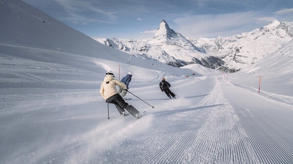 Snø- og skisport