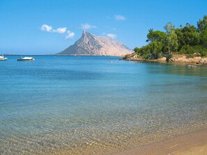 Apartment | View from property - Apartment in Monte Petrosu Near San Teodoro (San Teodoro)