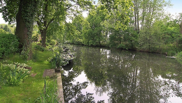 Un paysage paisible au bord de la rivière, avec une végétation luxuriante et une étendue d’eau calme.