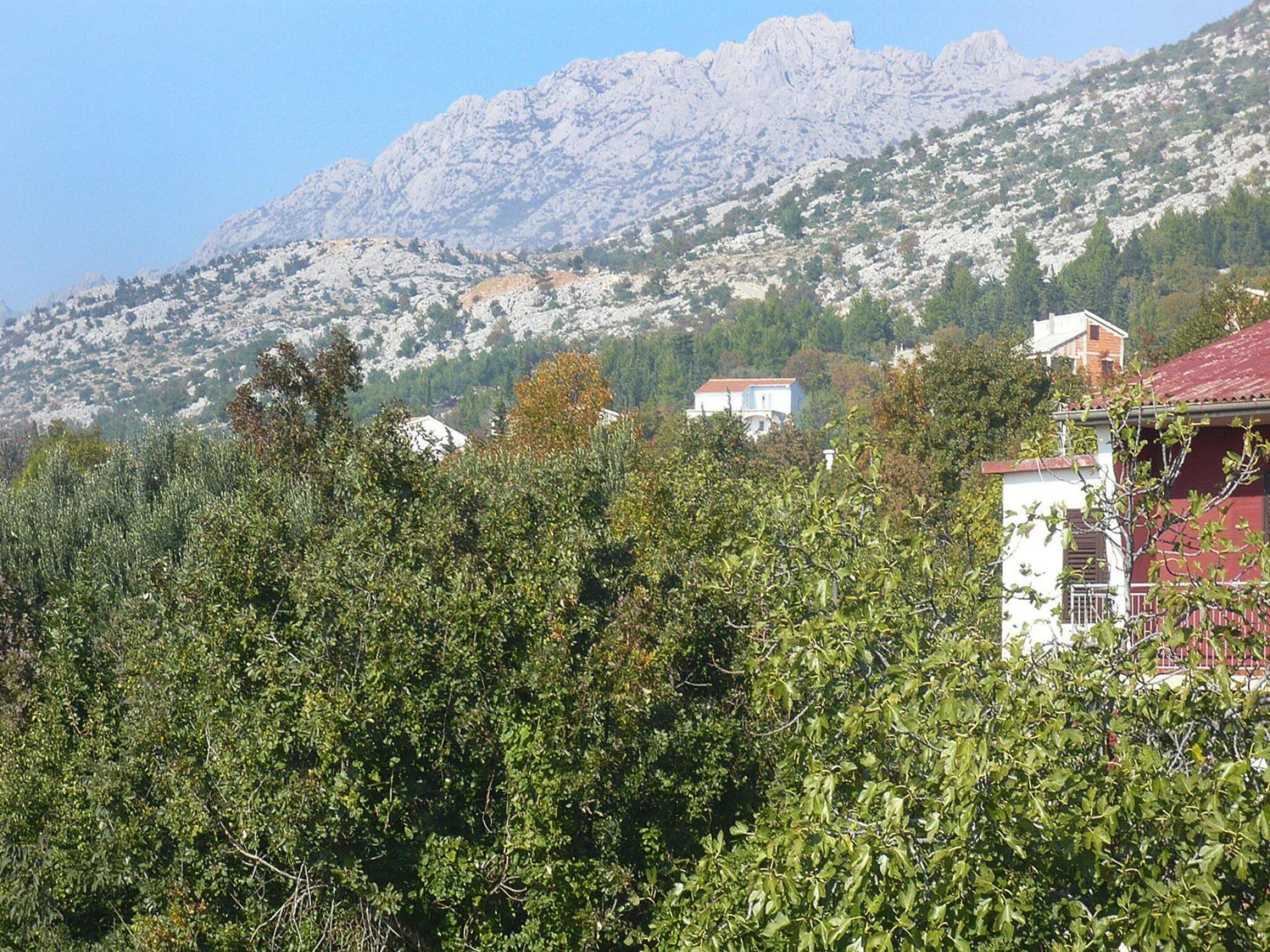 A mountainous landscape with buildings partially obscured by foliage.