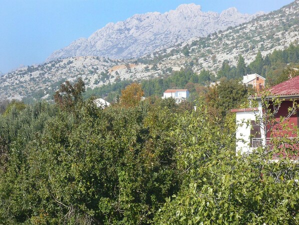 A mountainous landscape with buildings partially obscured by foliage. - Tranquil Couples Retreat in Starigrad (Starigrad)