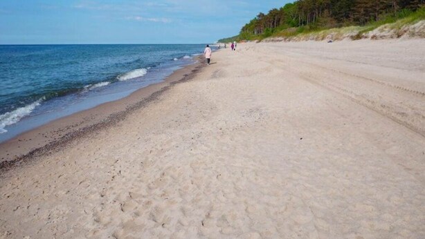 A sandy beach with a forested area in the background and a clear sky. - Nice, Cozy Apartment Very Close to the Beach (Rewal)