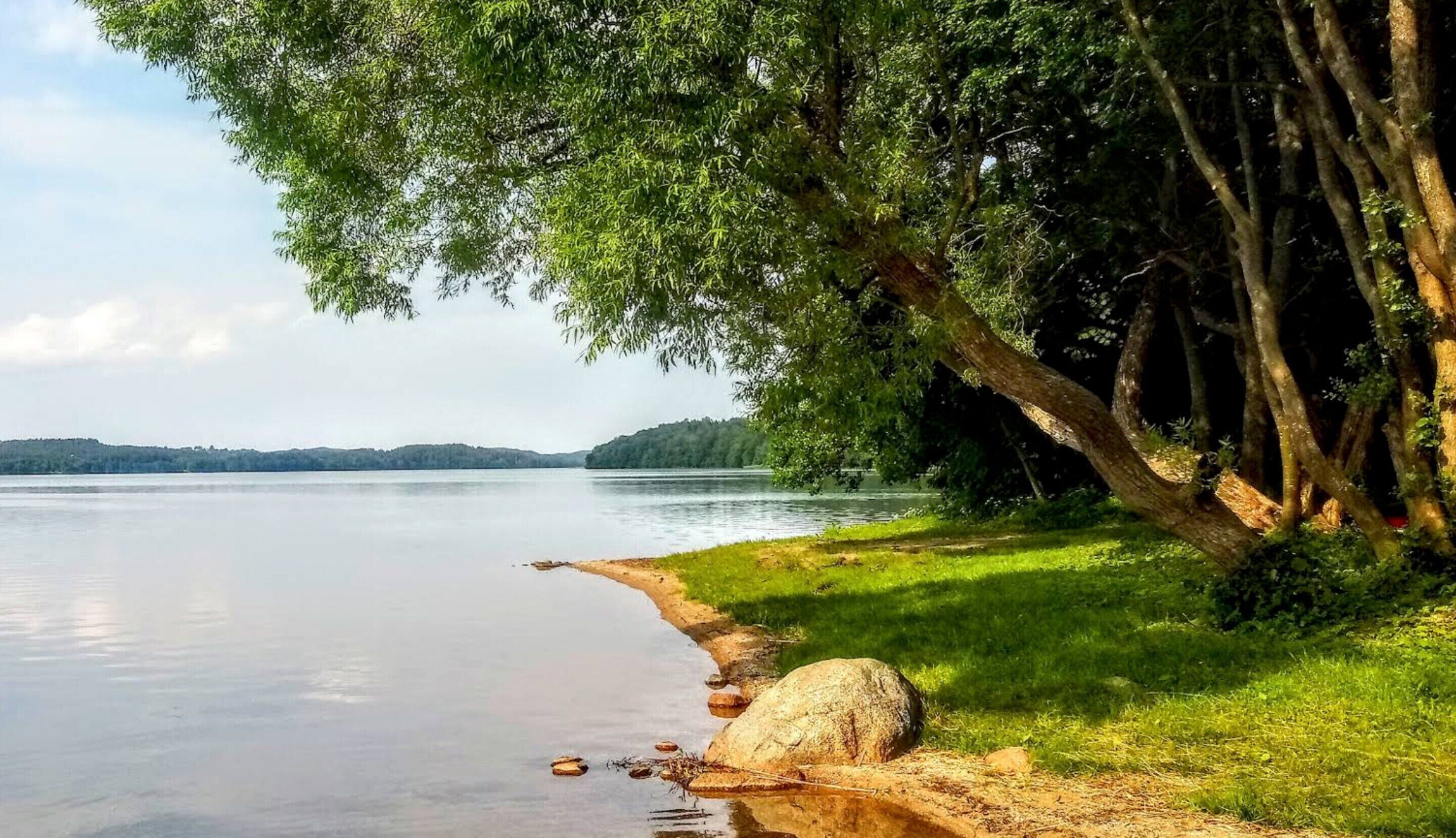 House | View from property