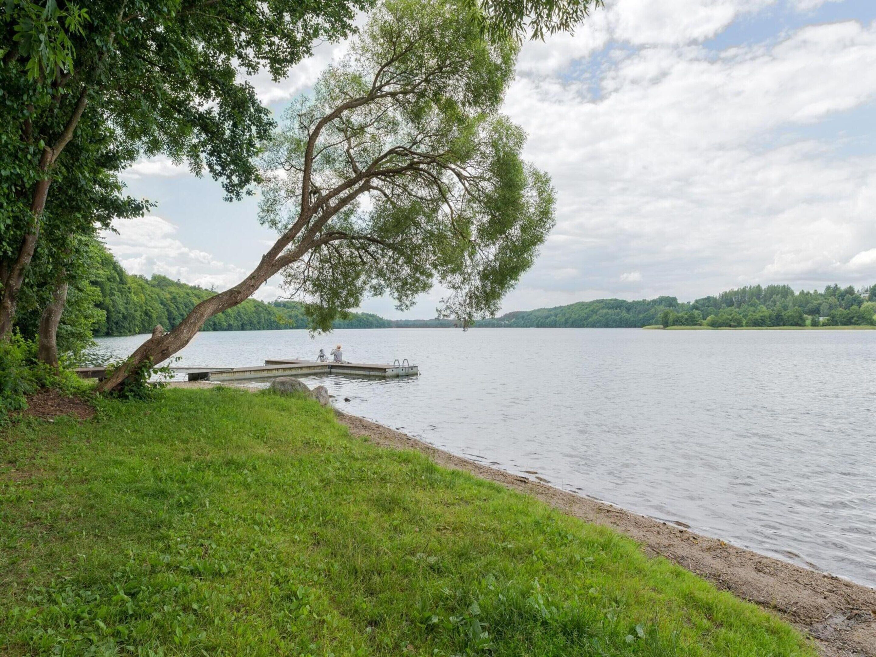 Un paisaje con un lago, un muelle que se adentra en aguas tranquilas, rodeado de vegetación exuberante y árboles.