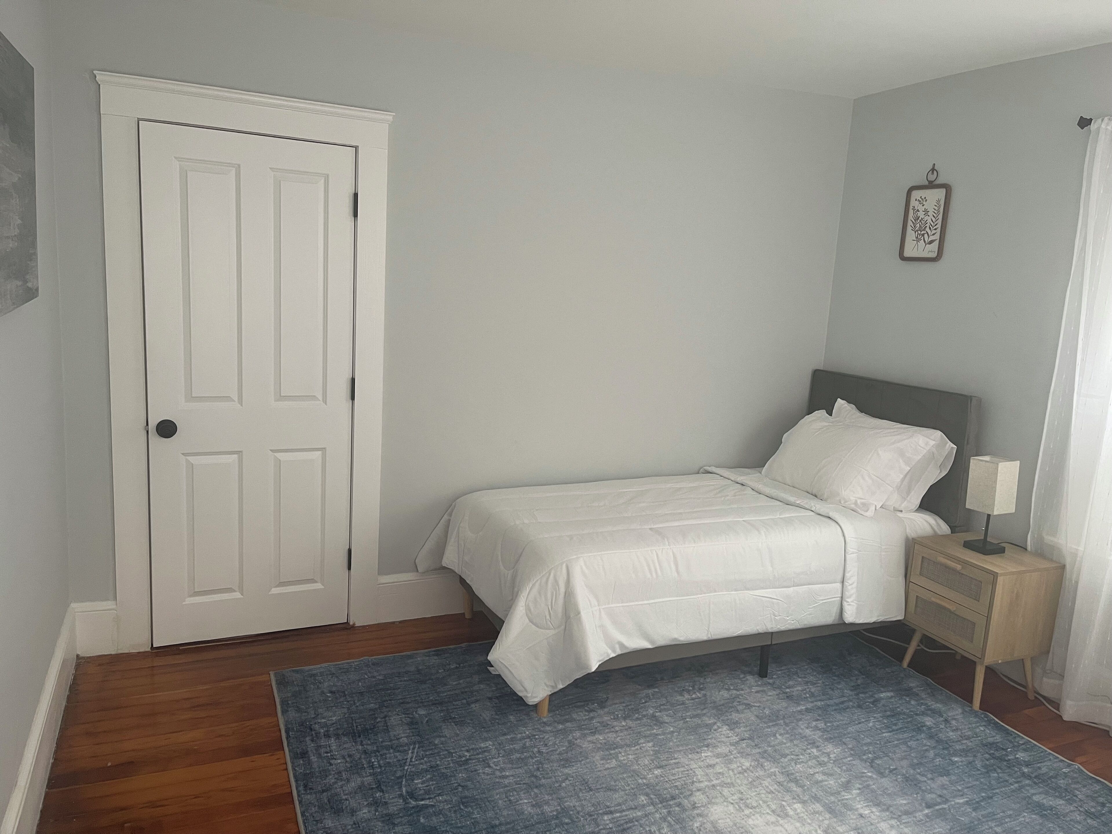 A bedroom with a single bed, a nightstand with a lamp, a blue rug, and a white door.