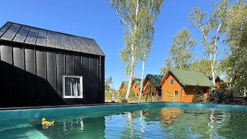 House | Pool | Outdoor pool