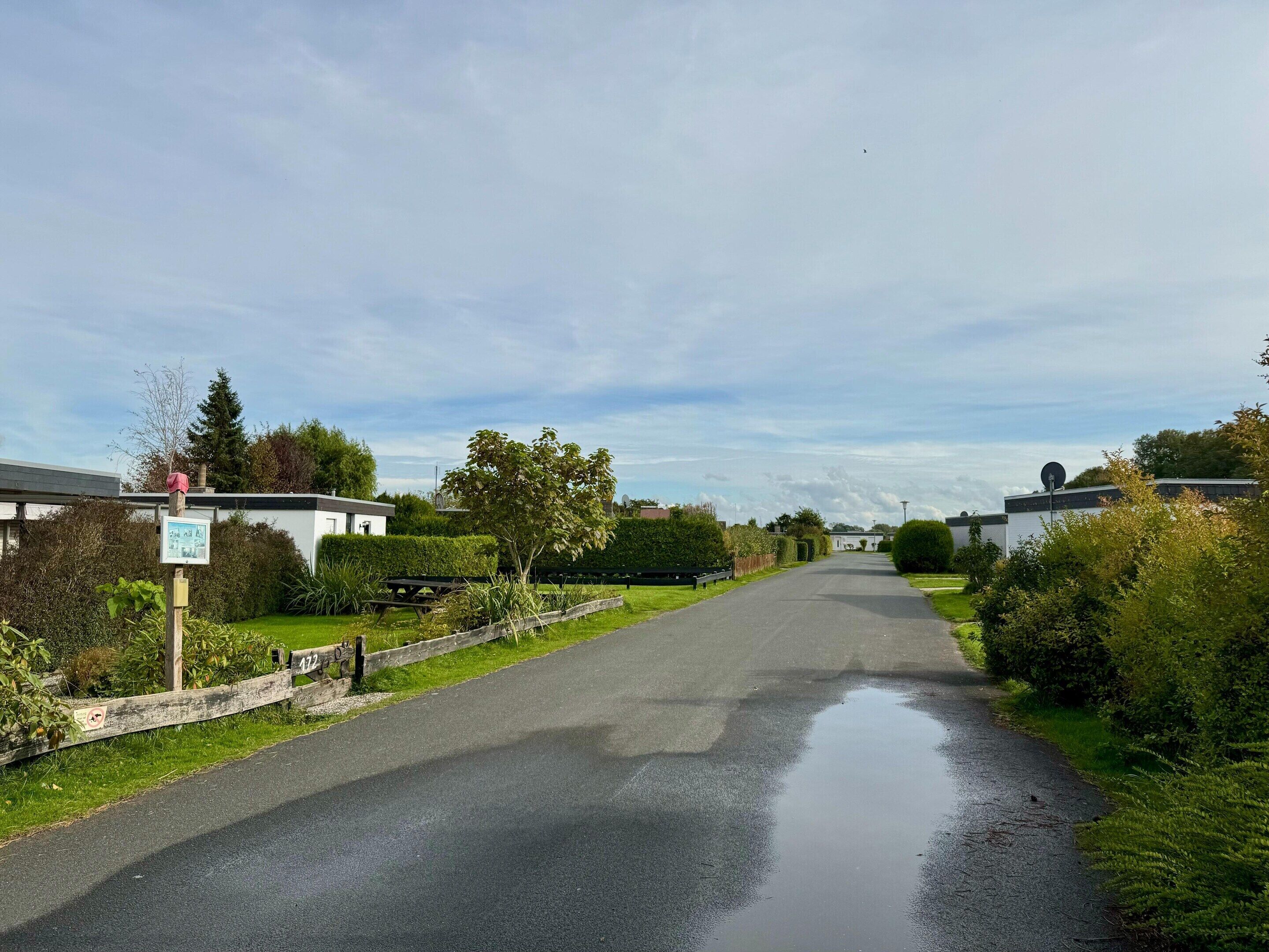 Une rue résidentielle tranquille, bordée de maisons des deux côtés, un ciel dégagé et une flaque d’eau sur la chaussée.