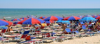 테라스 있는 리도 델 솔의 리조트 방갈로