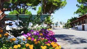 A street view with a building, trees, and a clear sky. - Bungalow in a Resort in Lido del Sole With Terrace (Rodi Garganico)